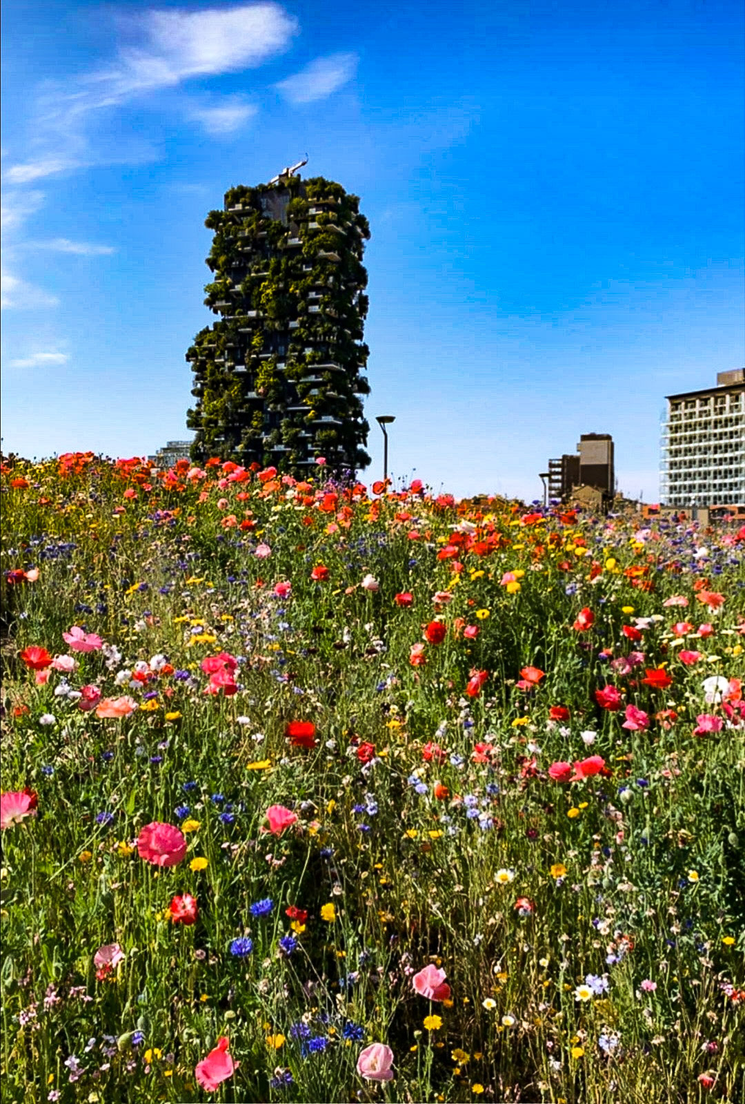 Dalla parte della Natura