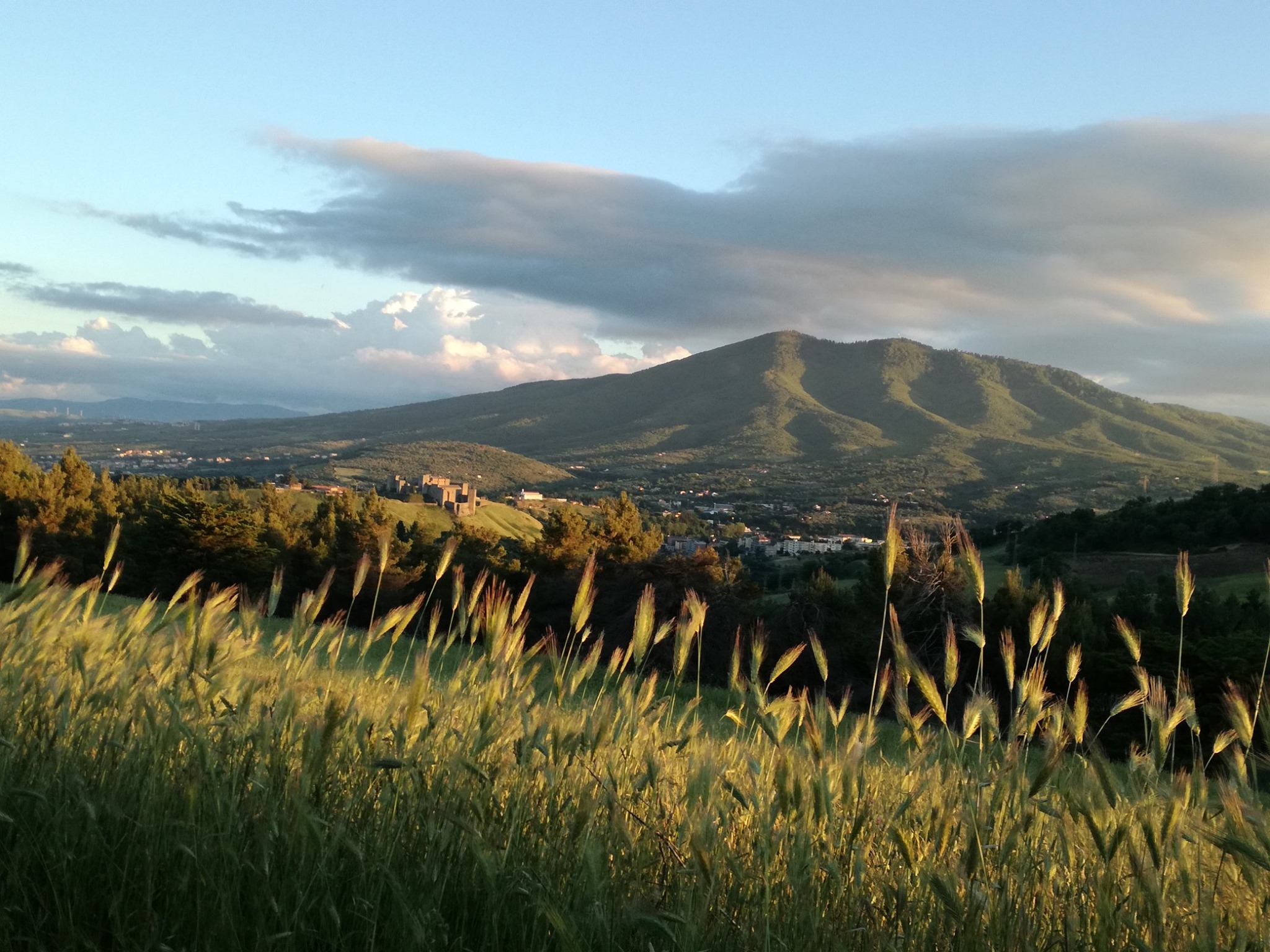 Bentornati al Sud