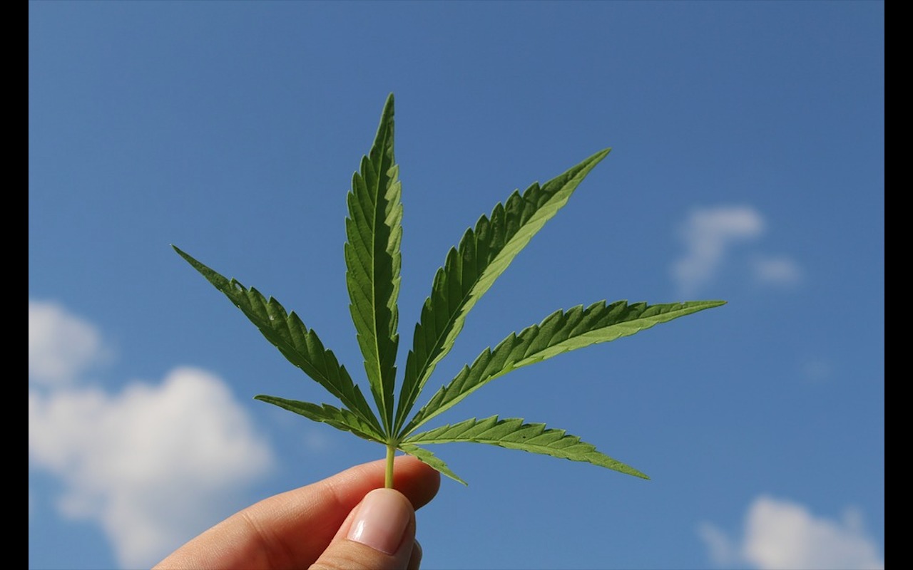 E se la cannabis fosse il gancio per la rinascita del Paese?