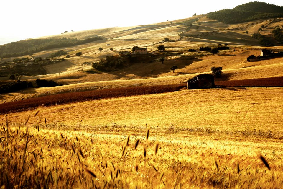 Italia Terra Mia: ricominciamo da qui #4