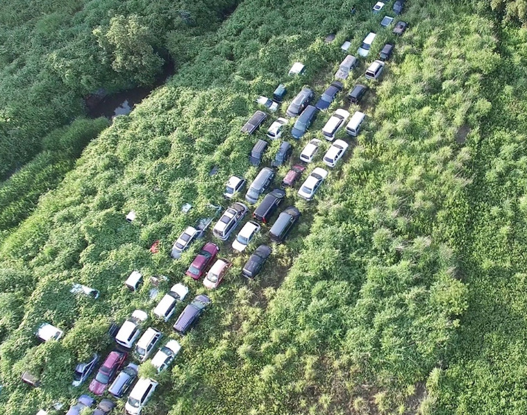 La Natura è maestra di Resilienza!