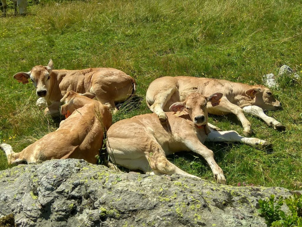 vita-da-margara-roberta-colombero