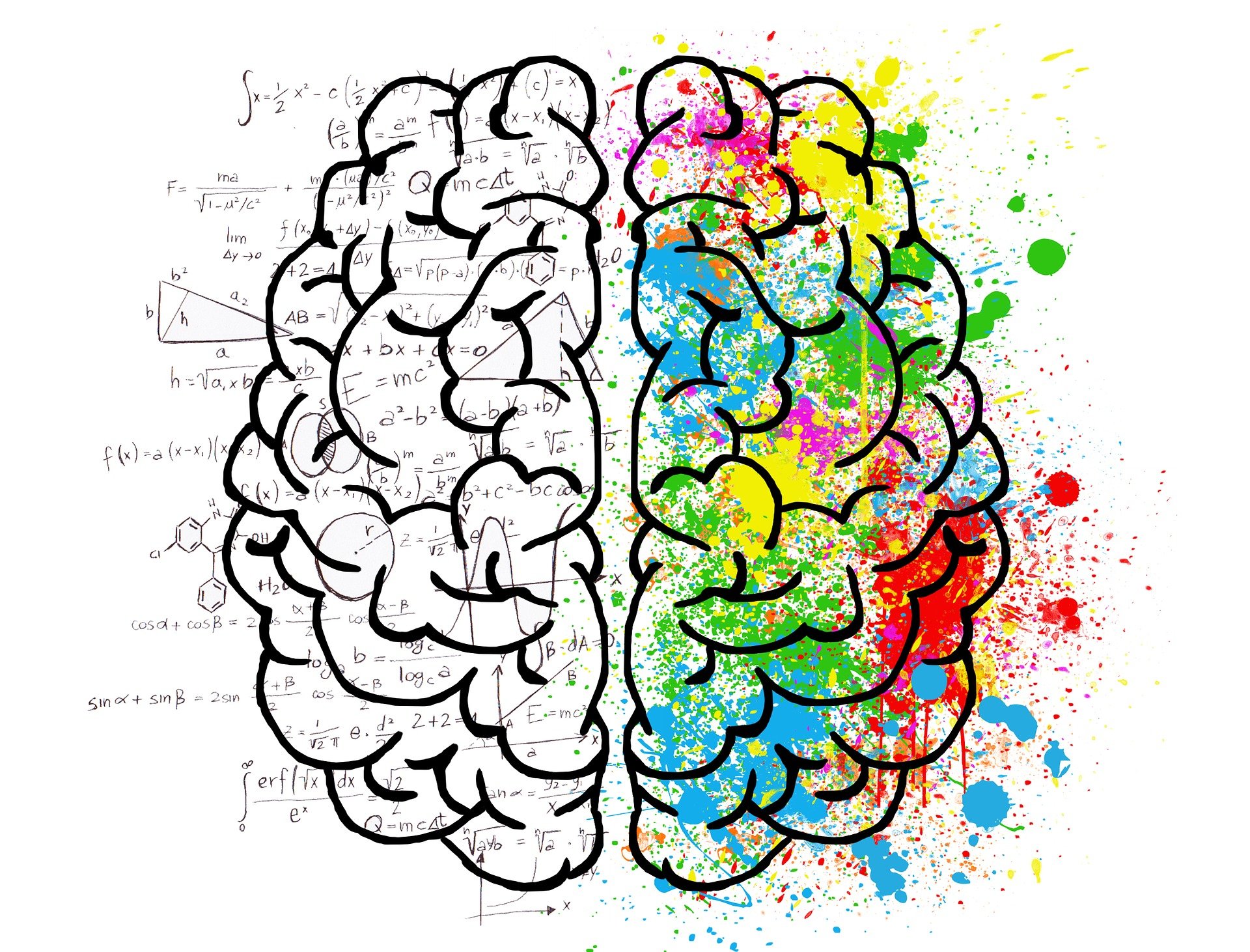 Il processo creativo e le neuroscienze
