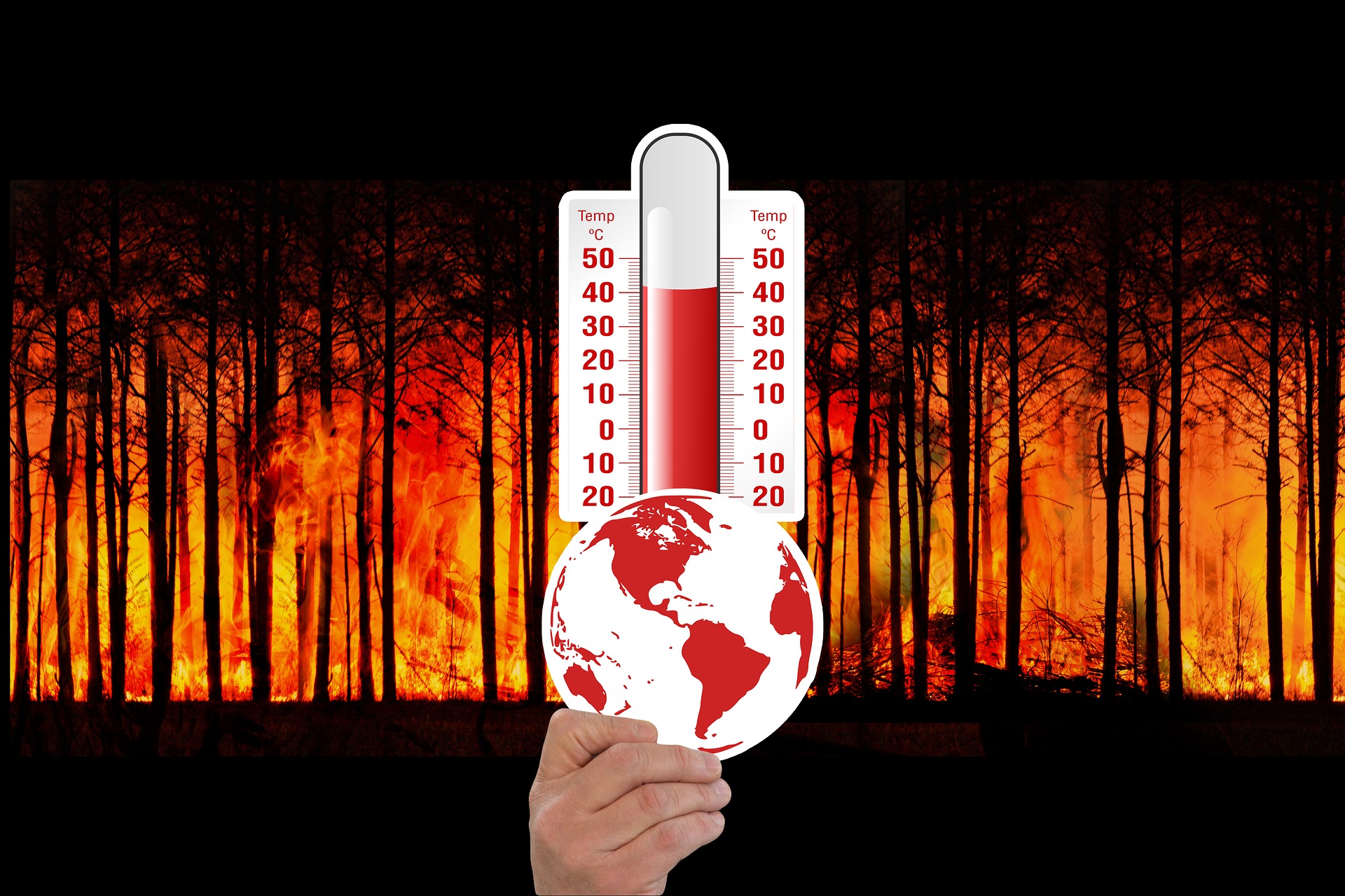 La Sardegna e il Pianeta vanno a fuoco