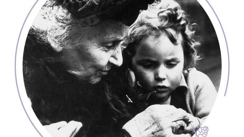Maria Montessori e la pedagogia speciale