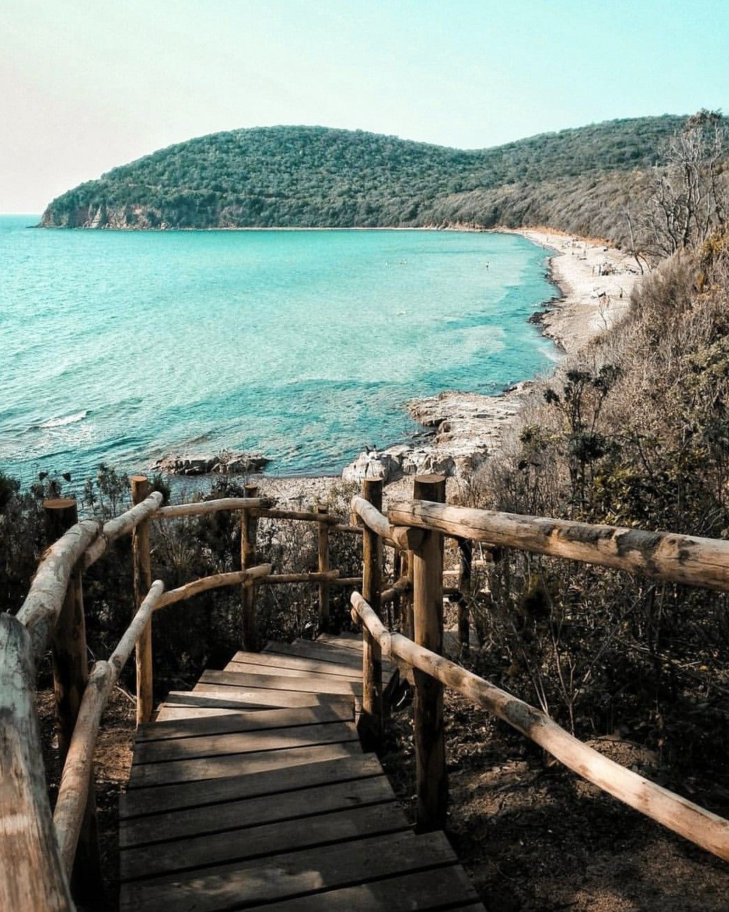 La Spiaggia di Cala Violina. Una delle spiagge più belle d’Italia.