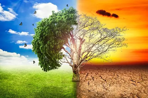 L’estate dei cambiamenti climatici